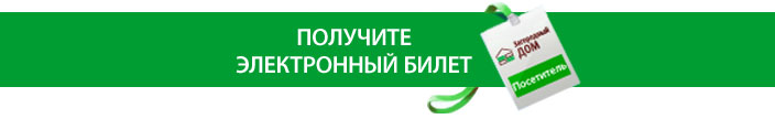 Кнопка получить билет